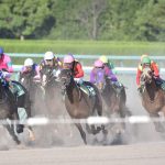 初心者でも勝ちたい！競馬の知って得する豆知識